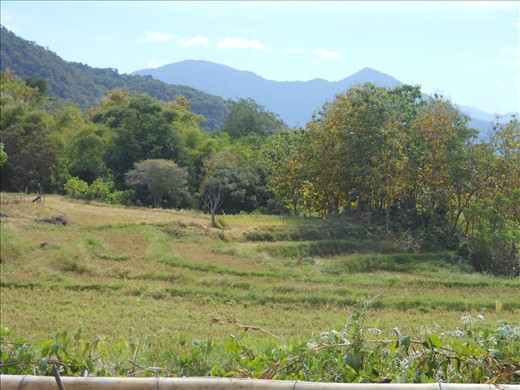 Valley of the Forgotten Chiefs