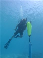 by meriadoc262, Views[128]