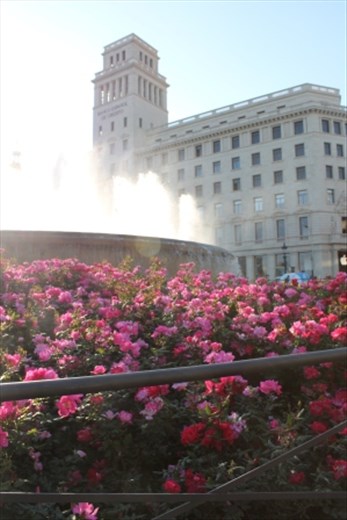 2.00 p.m: lunch in Catalonia Square. 