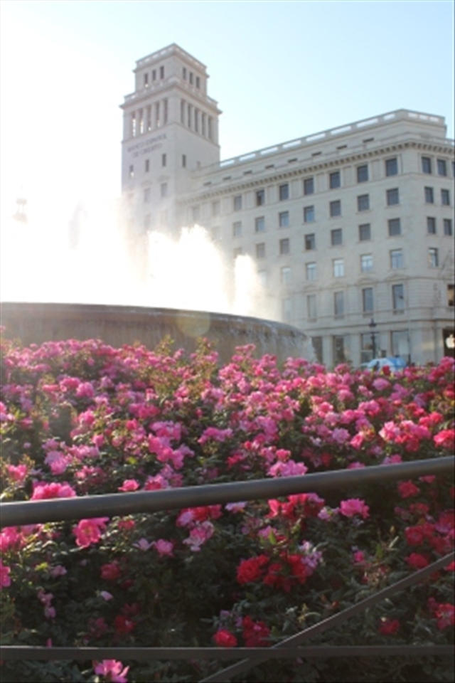 2.00 p.m: lunch in Catalonia Square. 
