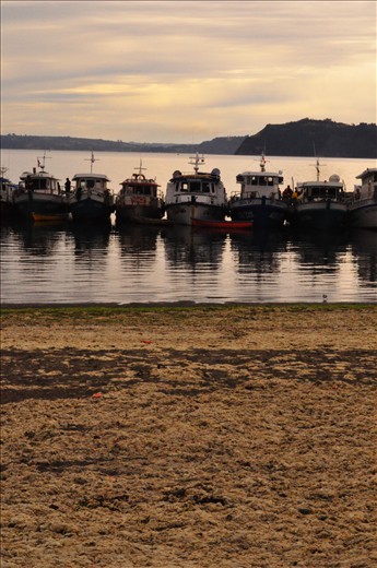 Once in the sea, you are just another fish