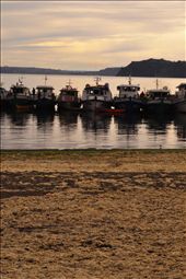 Once in the sea, you are just another fish: by merypeace, Views[318]