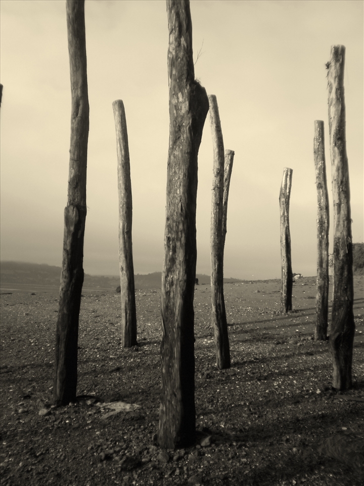 Chiloé, Sur de Chile. Palafitos