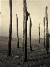 Chiloé, Sur de Chile. Palafitos: by merypoppins, Views[350]