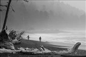A couple walk along Rialto Beach early in the morning on a cold fall day. Fog obscures the distant land and sea.: by mhitchner, Views[526]