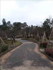 by mhlyon, Views[175]