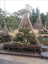 by mhlyon, Views[133]