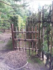 by mhlyon, Views[155]