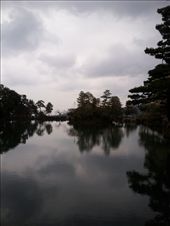 by mhlyon, Views[133]