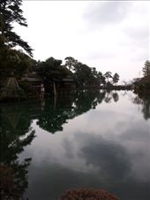 by mhlyon, Views[137]