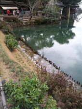 by mhlyon, Views[153]