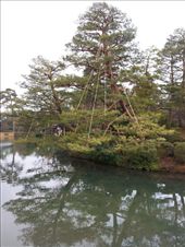 by mhlyon, Views[127]