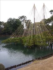 by mhlyon, Views[161]