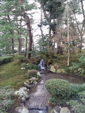 by mhlyon, Views[142]