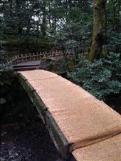 by mhlyon, Views[139]