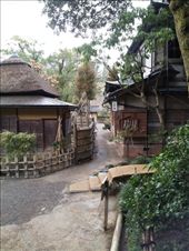 by mhlyon, Views[142]