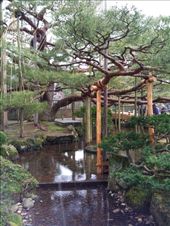 by mhlyon, Views[156]