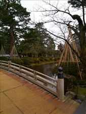 by mhlyon, Views[140]