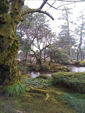 by mhlyon, Views[140]