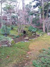 by mhlyon, Views[150]