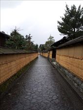 by mhlyon, Views[172]