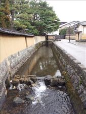 by mhlyon, Views[148]