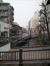 by mhlyon, Views[155]