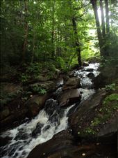 by miaamea, Views[142]