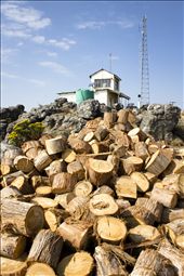 A mountain of fire wood lies stacked outside the Kaapschehoop lookout post in Mpumalanga, South Africa. Although the idyllic scenery makes the area seem like an ideal place to work, the minimum temperatures may drop as low as  - 5°c during the winter; which is why the watchmen need as much wood and warmth as possible to get them through the nippy days and nights.  : by miatjie, Views[638]