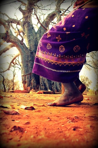 And her job is to protect this tree for 8 hours. Every day. Alone. 