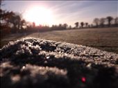 winter sunrise where every little object has tiny frost patterns on them: by michaellawler, Views[352]