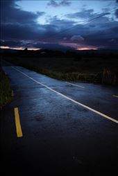 by michaelscanlon, Views[321]