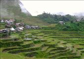 The village of Batad, surrounded by terraced mountain ranges, can only be accessed by foot.  What little electric is used here comes from gas generators.: by michal, Views[400]