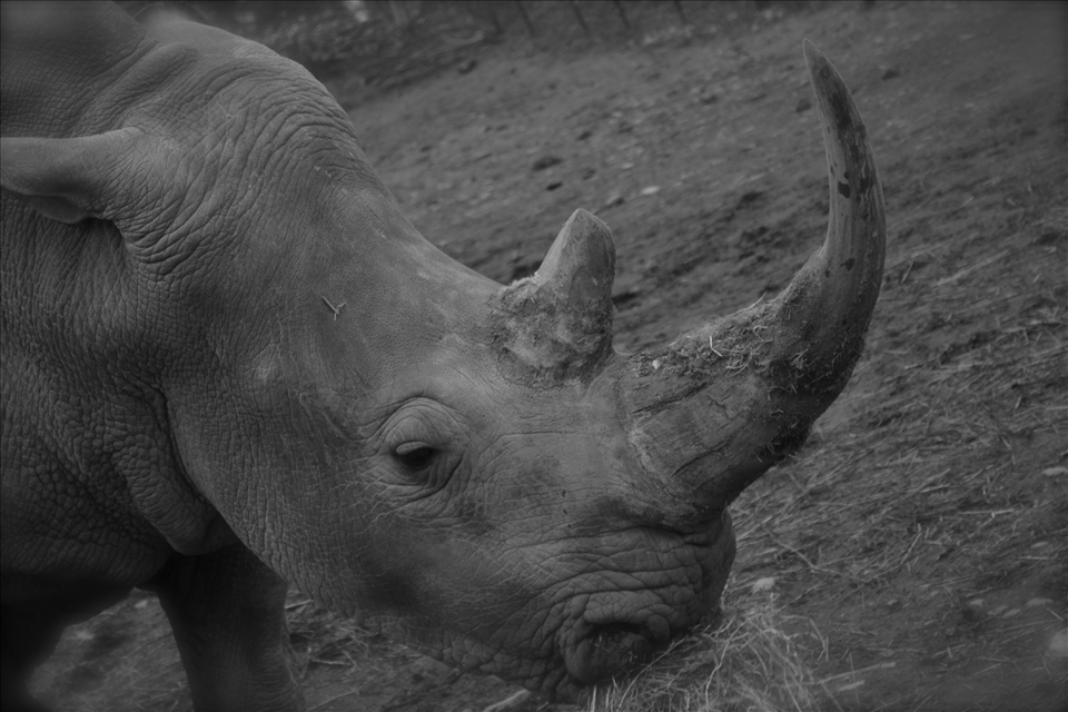 Time to face the day