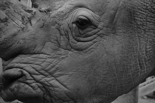 I'm just so good looking