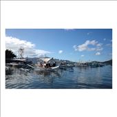 by michelleandalex, Views[175]