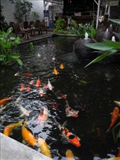 by michidoesoz, Views[217]