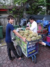 by michidoesoz, Views[123]