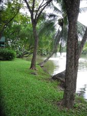 by michidoesoz, Views[147]