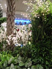 by michidoesoz, Views[145]