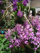 by michidoesoz, Views[152]