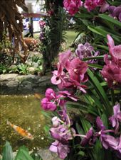 by michidoesoz, Views[215]