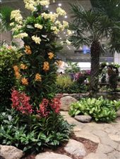 by michidoesoz, Views[166]