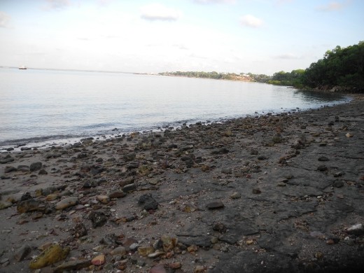 dodgy lameroo beach. darwin. no warning signs about stingers or cros around here but definitely wouldnt want to hang out there...