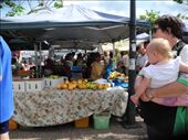mmmmh mangoes. havent bought any yet tho. i shall practice patience and wait until i can pick my own. Parap Market, Saturday 28th Sept: by michidoesoz, Views[283]