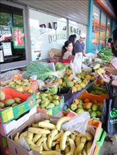 by michidoesoz, Views[230]