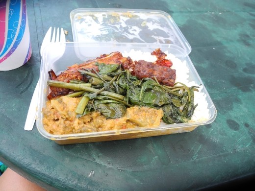 not so raw but yum yum thai curry stuffs. with Tempeh. spicy jackfruit. eggplant (yeh, well, aubergine.) some point ...(around here curry is a meal at any time, yes, this might have been around breakfast time.) Rapid Creek Market