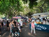 NATURALLY YUM! oh yes, mango..passionfruit..pineapple smoothies...EVERYWHERE. i love the tropics. MINDIL BEACH MARKET, SUnday night 28th: by michidoesoz, Views[247]