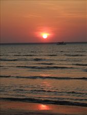 by michidoesoz, Views[183]