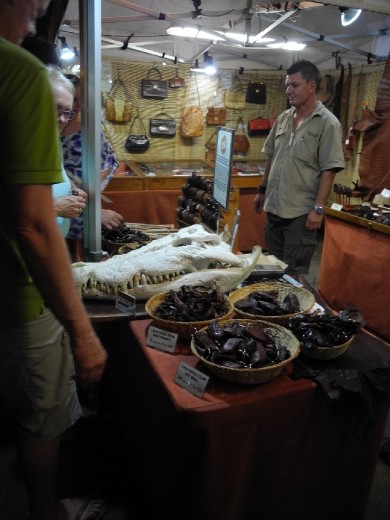 dead croc stuff at Mindil Beach. Croc claw back scrathcer anyone? :/ urgh